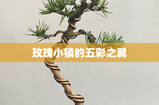 玫瑰小镇的五彩之翼图片