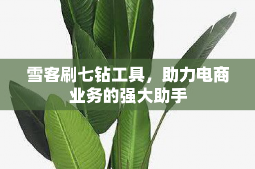 助力电商业务的强大助手图片