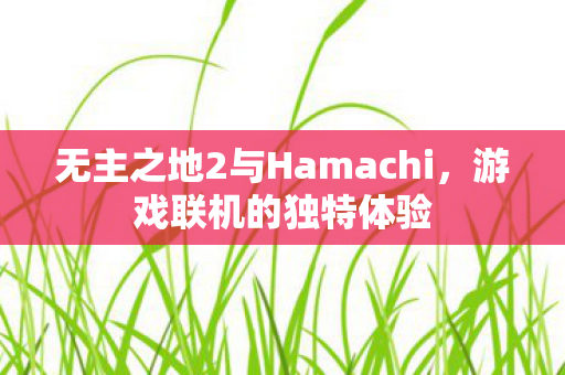 无主之地2与Hamachi图片