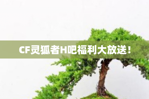 CF灵狐者H吧福利大放送图片