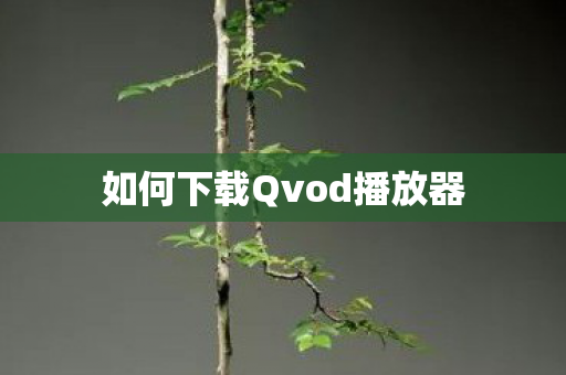 如何下载Qvod播放器图片