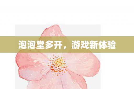 泡泡堂多开图片