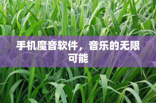 音乐的无限可能图片