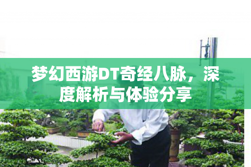 梦幻西游DT奇经八脉图片