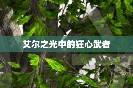 艾尔之光中的狂心武者图片
