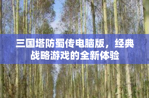 经典战略游戏的全新体验图片