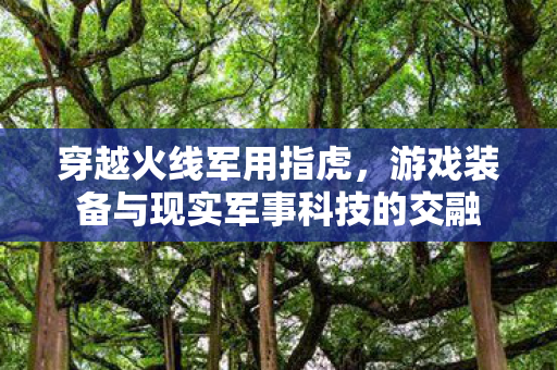 游戏装备与现实军事科技的交融图片