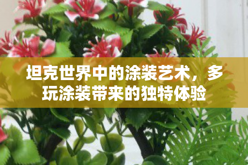 多玩涂装带来的独特体验图片