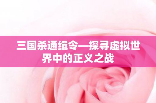 探寻虚拟世界中的正义之战图片