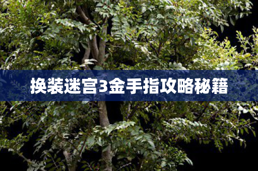 换装迷宫3金手指攻略秘籍图片