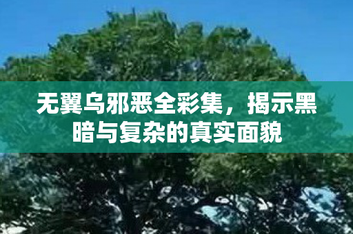 揭示黑暗与复杂的真实面貌图片