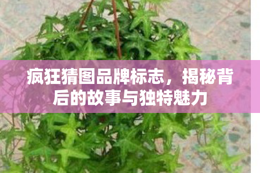 揭秘背后的故事与独特魅力图片