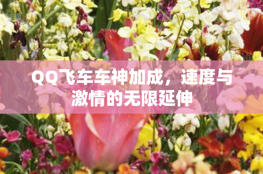 速度与激情的无限延伸图片