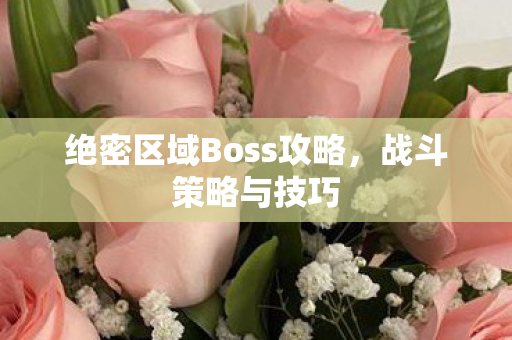 绝密区域Boss攻略图片
