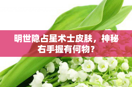 明世隐占星术士皮肤图片