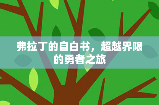 超越界限的勇者之旅图片
