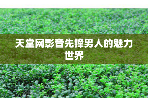 天堂网影音先锋男人的魅力世界图片
