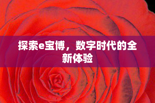 数字时代的全新体验图片