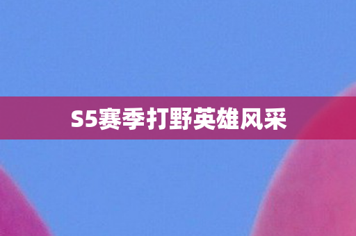 S5赛季打野英雄风采图片
