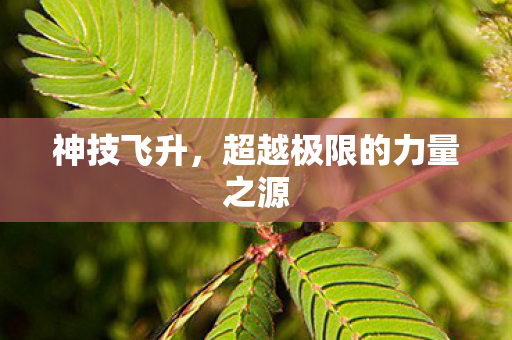 超越极限的力量之源图片