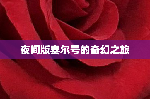 夜间版赛尔号的奇幻之旅图片