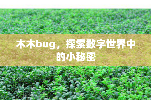 探索数字世界中的小秘密图片