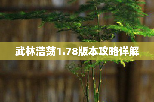 78版本攻略详解图片