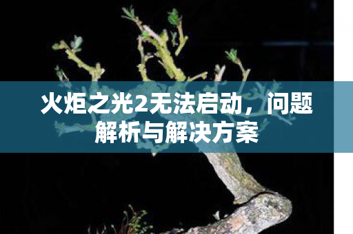 火炬之光2无法启动图片