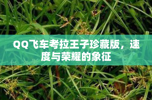 QQ飞车考拉王子珍藏版图片
