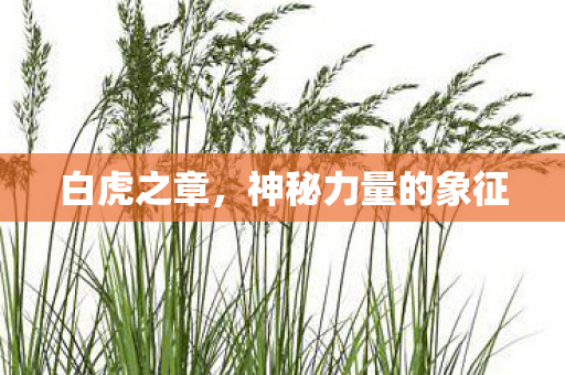 神秘力量的象征图片