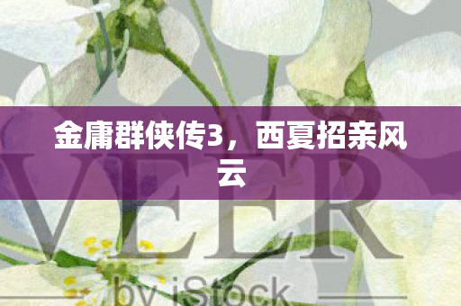 金庸群侠传3图片