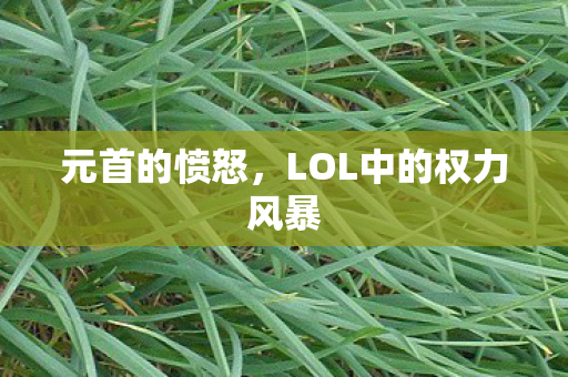 LOL中的权力风暴图片