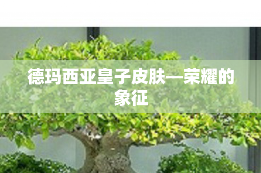 德玛西亚皇子皮肤图片