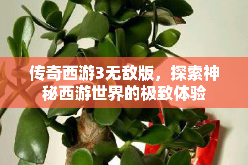 探索神秘西游世界的极致体验图片
