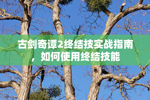 古剑奇谭2终结技实战指南图片