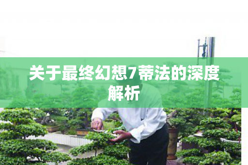 关于最终幻想7蒂法的深度解析图片