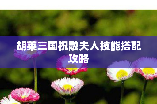 胡莱三国祝融夫人技能搭配攻略图片