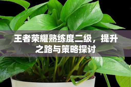 王者荣耀熟练度二级图片