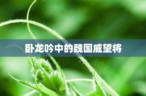 卧龙吟中的魏国威望将图片