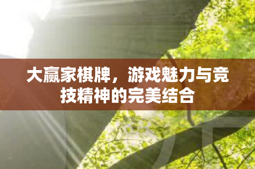 游戏魅力与竞技精神的完美结合图片
