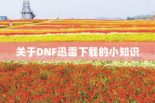 关于DNF迅雷下载的小知识图片