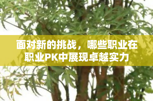 哪些职业在职业PK中展现卓越实力图片