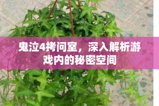 深入解析游戏内的秘密空间图片