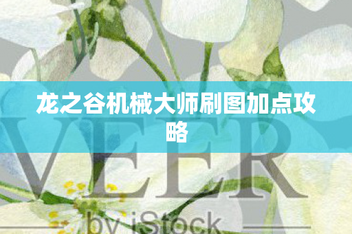 龙之谷机械大师刷图加点攻略图片