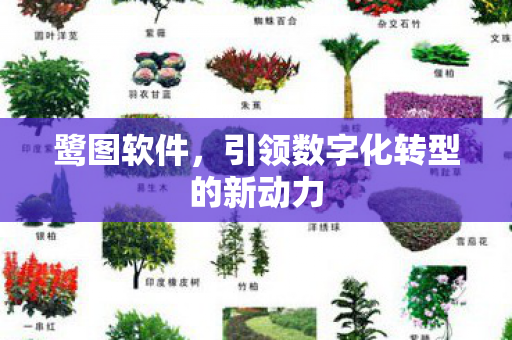 引领数字化转型的新动力图片