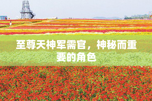 神秘而重要的角色图片