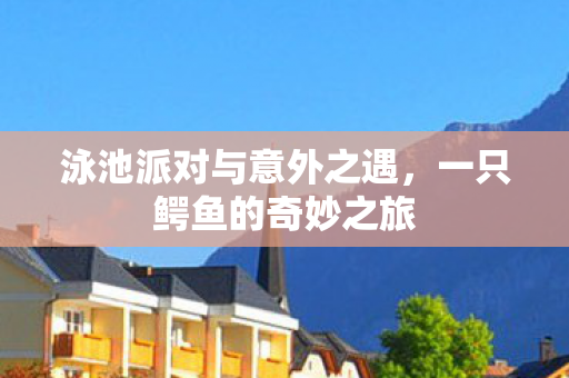 泳池派对与意外之遇图片