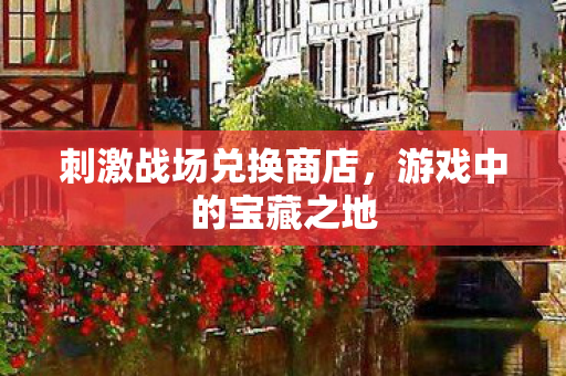 刺激战场兑换商店图片