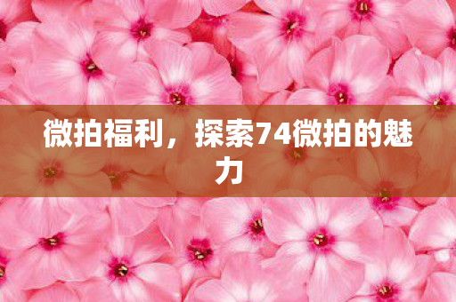 探索74微拍的魅力图片