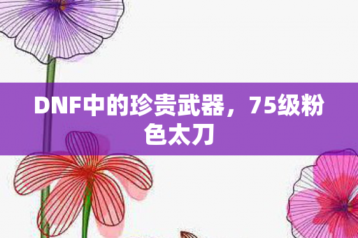 DNF中的珍贵武器图片